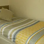 White Rose Уиндермир