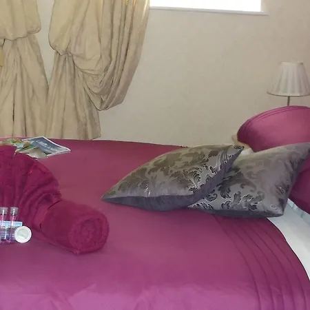 招待所 白玫瑰酒店