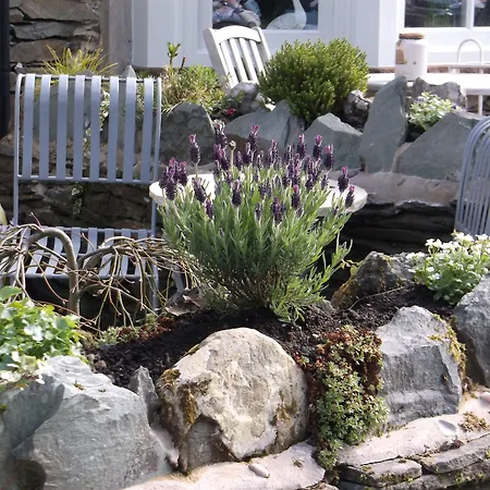 招待所 白玫瑰酒店